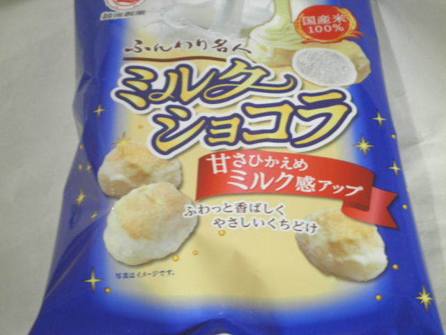 ӂ薼l~NVR01.JPG