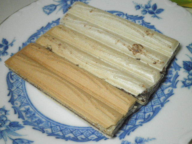 Zi[[04.JPG